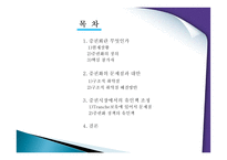 [국제금융론] 증권화의 미래-2