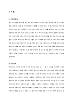 [국제경영] 레드망고 세계진출 전략-2