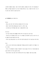 [국제경영] 레드망고 세계진출 전략-5