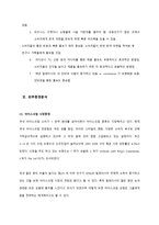 [국제경영] 레드망고 세계진출 전략-9
