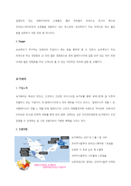 [국제경영] 레드망고 세계진출 전략-11
