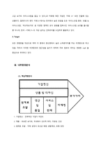 [국제경영] 레드망고 세계진출 전략-13