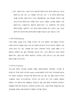 [국제경영] 레드망고 세계진출 전략-15