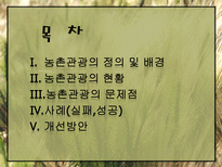 농촌관광의 발전방안-2