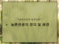 농촌관광의 발전방안-3