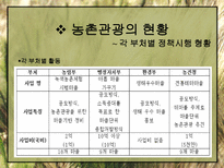 농촌관광의 발전방안-10