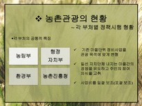 농촌관광의 발전방안-11