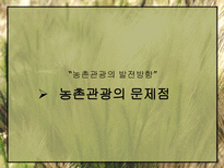 농촌관광의 발전방안-12