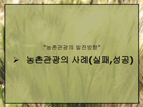 농촌관광의 발전방안-14