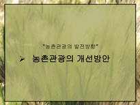 농촌관광의 발전방안-17