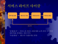 [경영정보] 서비스 사인어스-12