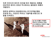 유한 킴벌리와 DUPONT(듀퐁) 의 R&D 스타일로 본 비교 분석-17