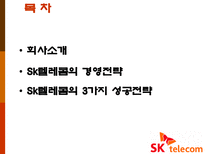 Sk텔레콤(SK텔레콤)의 경영전략-2