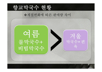막국수 분점내기 마케팅-8