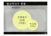 막국수 분점내기 마케팅-11