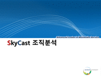 SkyCast 조직분석-1