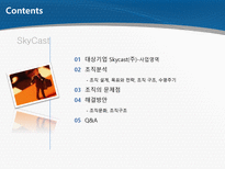 SkyCast 조직분석-2