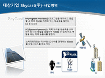 SkyCast 조직분석-3