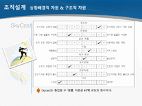 SkyCast 조직분석-4