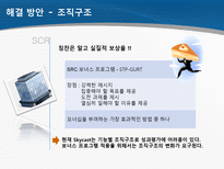 SkyCast 조직분석-13