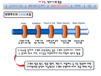 [정보관리] 제 9장. 정보시스템 활용-17