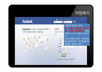 [이비지니스] 페이스북(Facebook Site) 분석-13