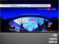 [경영조직론] LG 조직구조-3