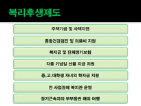 [경영조직론] LG 조직구조-12