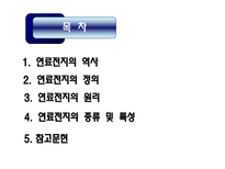 연료전지 레포트-2