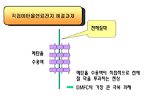 연료전지 레포트-19