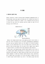 상평형론 -해파리의 습격-4