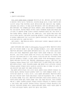 문화주의 페미니즘-3