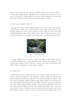 [지역사회복지] 한탄강댐 건설사업-5