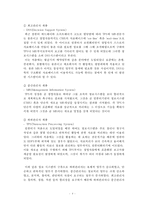 [정보체계론] 정보사회의 행정조직-4