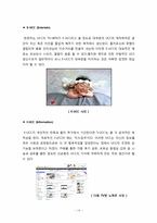 [인터넷매체] 동영상 UCC의 개념 및 활성화, 문제점과 발전방향-14