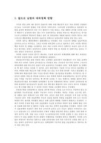북한의 외교성향과 남한의 대북정책 방향-13