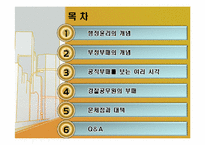 [인사 행정론] 행정윤리와 공무원부패-3