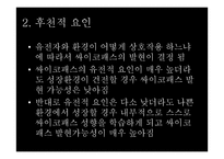 싸이코패스에 대한 대책-10
