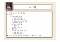 동물학대의 원인 및 해결방안-2