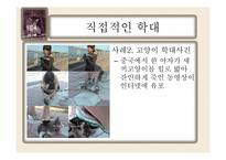 동물학대의 원인 및 해결방안-6