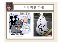 동물학대의 원인 및 해결방안-9