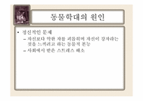 동물학대의 원인 및 해결방안-17