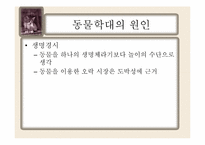 동물학대의 원인 및 해결방안-18