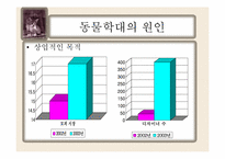 동물학대의 원인 및 해결방안-19