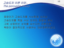 고슴도치이론과 북핵 문제-4