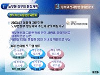 [발전행정론] 노무현 정부 행정개혁-9