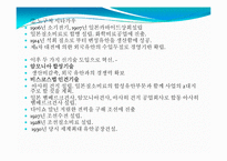 [자본주의의 역사] 일본 대기업의 성장-18