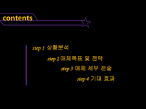[매체 기획서] 제3회 부산 국제 광고제 활성화 방안-2