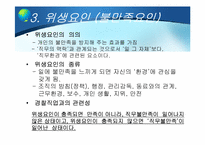 [인사행정론] 인적자원의 동기부여 -내용이론-13