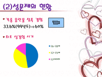 청소년의 성문제-4